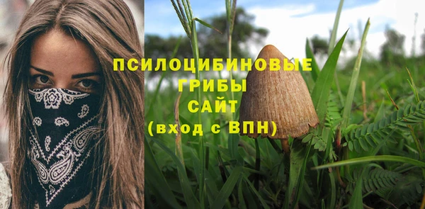 mdpv Вязники