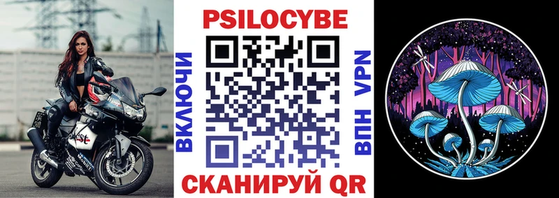 купить наркотик  Карачев  Псилоцибиновые грибы мухоморы 
